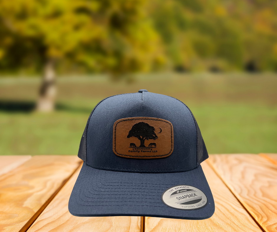 Adjustable Baseball Hat