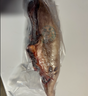 Beef Tongue