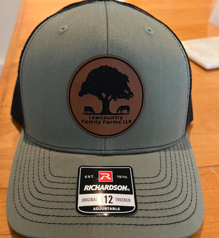Adjustable Baseball Hat